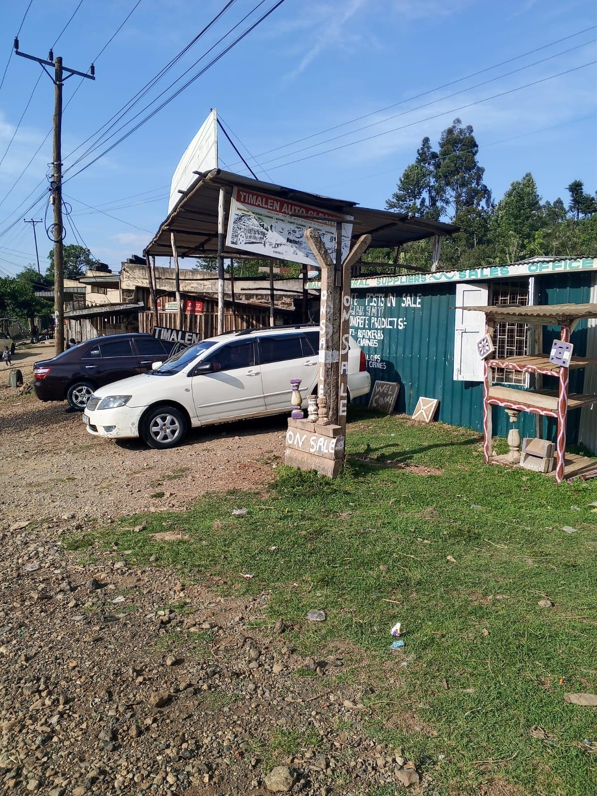 The whole roadside premises seen from the verge: a timber-post canopy carrying the Timalen Auto Cleaners banner over two parked cars, and beside it the green iron-sheet Timalen General Suppliers office with the concrete range hand-painted along its wall and sample spindles standing out front.